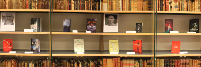 Thydingar_banner_Godek_Dutra